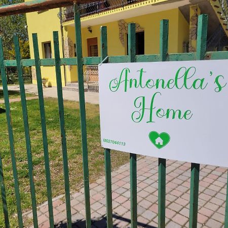 Antonella'S Home Cavallino-Treporti Kültér fotó