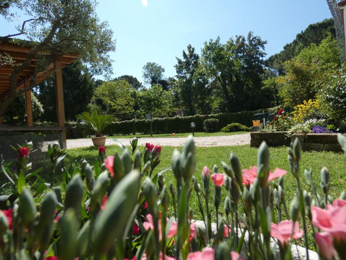 Antonella'S Home Cavallino-Treporti Kültér fotó